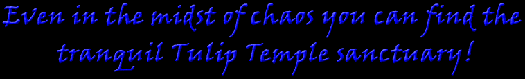 Even in the midst of chaos you can find the tranquil Tulip Temple sanctuary! 